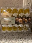 Sienna Summer Nights Patio And Garden Lights 10 Beer Mug In/outdoor 7.5' New. Price: $22.00.