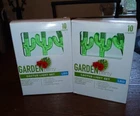 (2) Pack Garden Party Cactus Led Set 10 Each New. Price: $13.99.