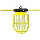 Southwire 1111000 Plasticcagestrlight, Screw In, Led, 15000LM New. Price: $199.99.