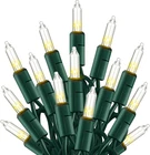 Tw Shine Warm White Christmas Lights Outdoor, 20FT 100 Count Incandescent. Price: $18.53.