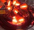 Hampton Bay Shatterproof Filament String Lights 48FT No Box Open. Price: $53.71.