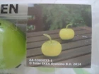 Ikea Solvinden Lights 1/2 " Battery Operated Green Led Pack Of New. Price: $10.95.