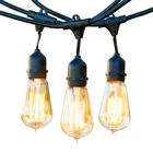 Brightech Ambience Pro 15-LIGHT 48FT Outdoor Plug-in String Lights Edison Bulbs Open. Price: $39.99.