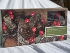Smith & Hawken Crimson Blossom String 35 Indoor Outdoor Tested New. Price: $19.00.