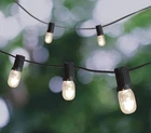Ashland 20 Count Clear Mini Edison String Lights Black Cord 19 Ft Indoor/outdoor Open. Price: $26.99.