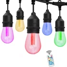 48 Ft Color Changing Led Edison String Lights - 24 Bulbs Indoor/outdoor New. Price: $76.99.