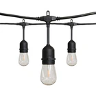 Hampton Bay 24 Ft. 12-LIGHT Filament Led String New. Price: $96.40.
