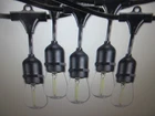 Bulbrite Outdoor/indoor 30 Ft. Plug-in Edison S14 Led Black String Light Open. Price: $28.45.