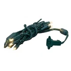 Novelty Lights 5 Feet 10 Led String Green Wire, Warm White (connectable) New. Price: $20.07.