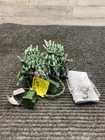 Home Accents 100 Clear Incandescent Mini Lights Indoor Outdoor 20' New. Price: $6.50.