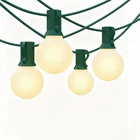 25FT G40 Frosted Christmas Lights,globe With 27 Whit... New. Price: $39.04.