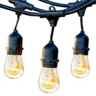 Brightech Ambience Edison White Led Waterproof String Lights, 48 Ft. (open Box). Price: $40.00.
