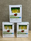 Lot Of 3 Garden Party Indoor Pineapple Led Set 10 Each Pkg New. Price: $18.00.