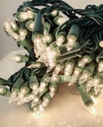Vickerman 140 Lights Clear 8 Function Chasing Set W/green Wire 4-INCH Spacing New. Price: $24.74.