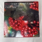 Vtg Set Of Red Grape Cluster Lights Indoor/outdoor Nib Costco Wine Cottagecore New. Price: $18.98.