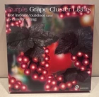 Costco Purple Grape Lights 6 Clusters On String Indoor/outdoor 100 Bulbs New. Price: $24.88.