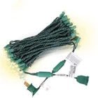 Christmas Lights Warm White 50 Counts, Outdoor Co... New. Price: $24.39.