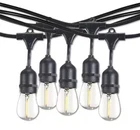 Bulbrite Outdoor/indoor 30 Ft. Plug-in Edison S14 Led Black String Light New. Price: $39.99.