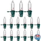 Remagr 500 Christmas Replacement Mini Light Bulbs 2.5V 0.425W 0.17A New. Price: $41.13.