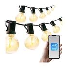 Newhouse Lighting 48FT. 25-SOCKET Smart Led String Outdoor Lights, Life.... Price: $73.39.