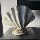 Dongguan Seashell / Clam Table Lamp Night Light Nautical Beach Cor Ocean 9 Used. Price: $47.77.