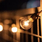 Clear Glass Globe Bulbs 18.7 Feet 20 Count G40 Brown Wire New. Price: $25.99.