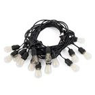 Brightech Ambience Edison Led Waterproof String Lights, 48FT (open Box). Price: $22.98.