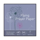 Flying Wish Paper - Write It., Light It, & Watch 5" X Mini Kits New. Price: $14.95.
