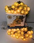 Indoor Large Grape Cluster Set 2 Pc Pair String Lights Green Kitchen Nightlight Used. Price: $34.99.