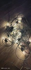 Svater Outdoor String Lights Led 50 Ft, Patio For Outside Waterproof IP65 Open. Price: $15.99.