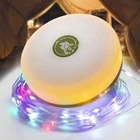 Hiromeco Camping Lights String Outdoor: 4 29.52FT (usb, 1-PACK), White+green New. Price: $29.64.