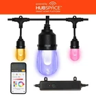 Hampton Bay Hubspace Smart Black 12-LIGHT 24 Ft. Plug-in Led Rgbw String Open. Price: $35.14.