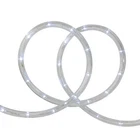 18' Pure White Led Indoor/outdoor Christmas Rope Lights - 2" Bulb Spacing New. Price: $35.39.