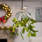 Gerson 9096463 12 In. Mistletoe Branch With Warm White Led Lights Hanger - Pa... New. Price: $131.55.